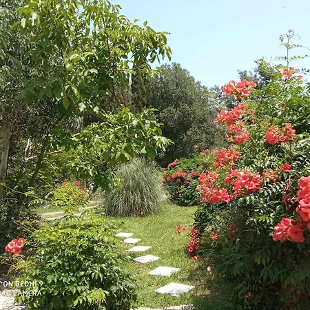 Apartament Errika *