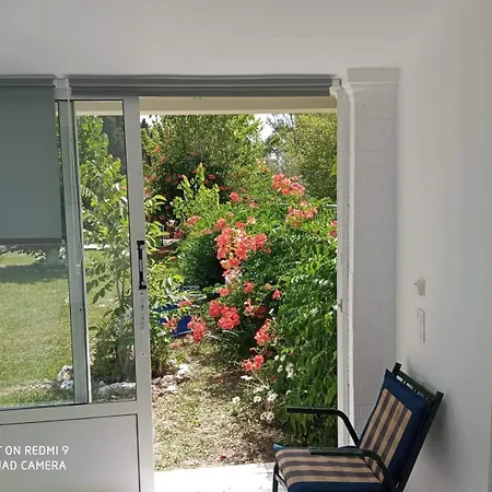 Apartament Errika Ýpsos